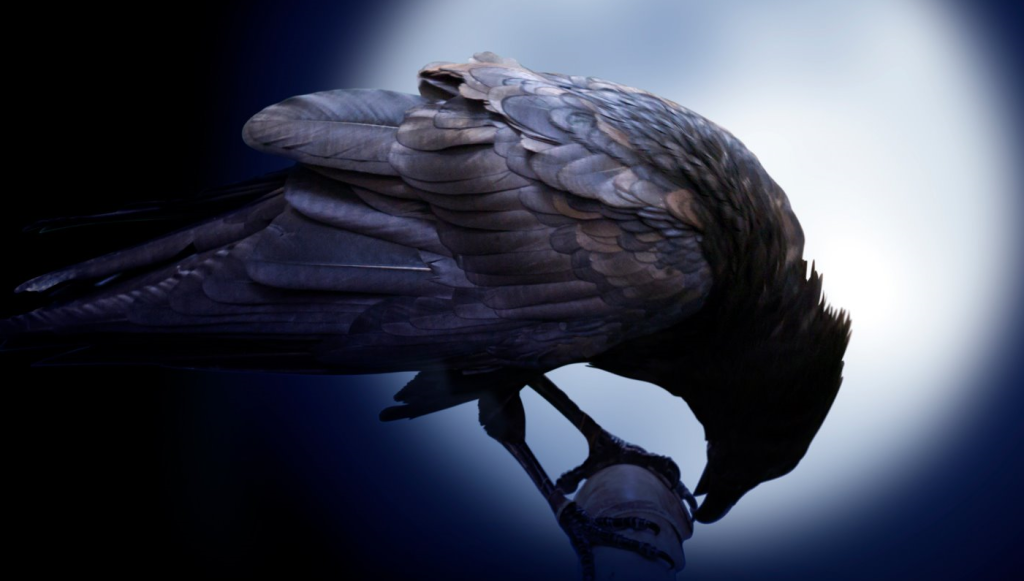 图片[1]-内容正在逐步恢复中，带来不便敬请期待 - 心诚资源网-心诚资源网